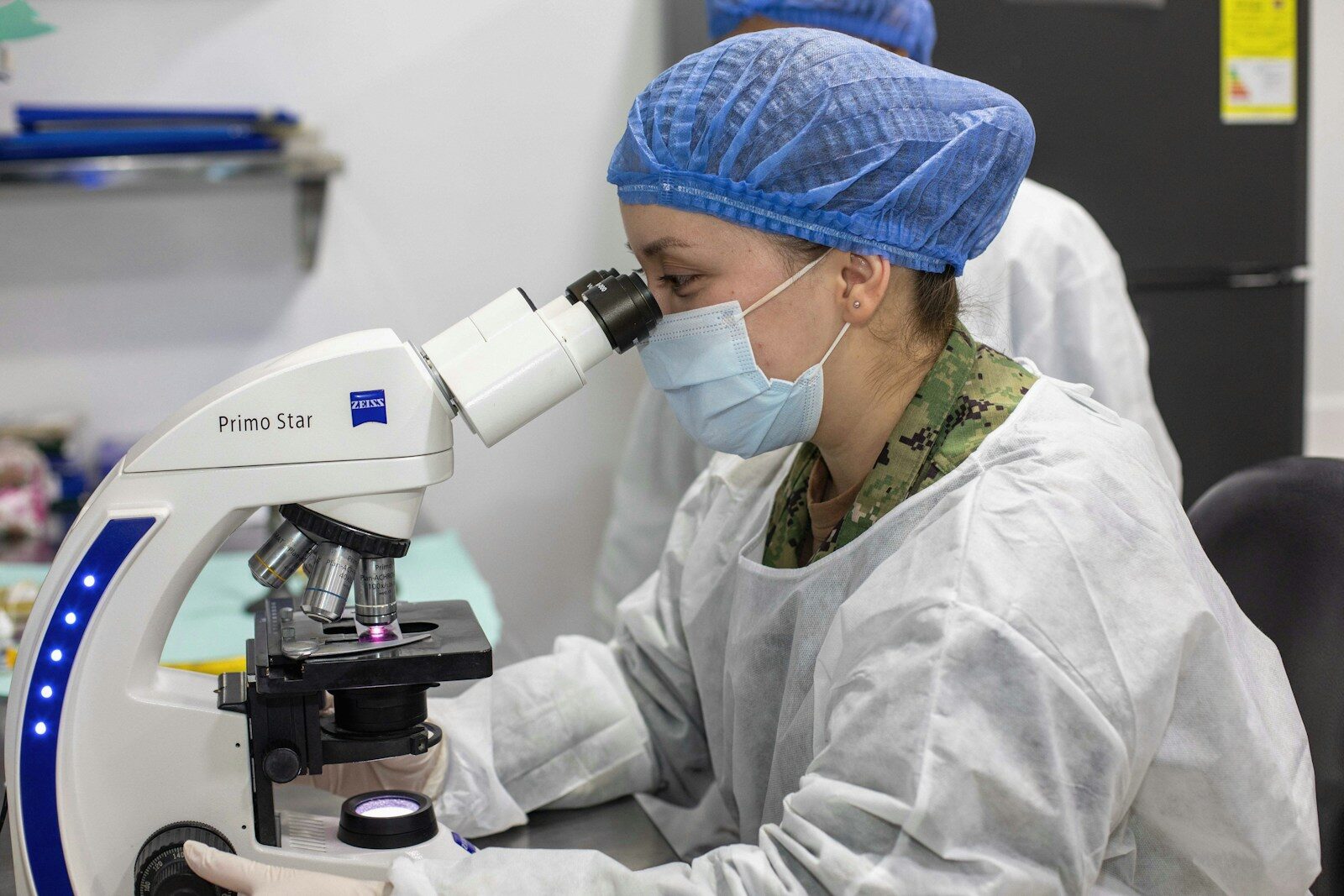 Scientist looks through a microscope in a laboratory